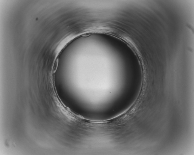 X0000099521344200805151515
