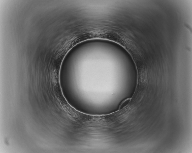 X0000099521346200805151514