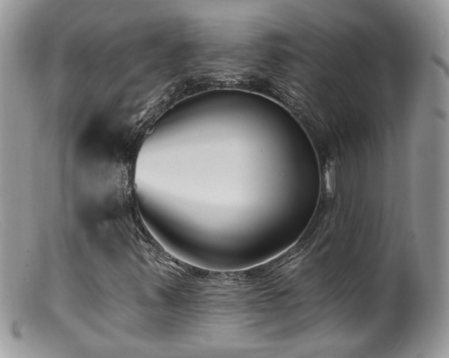 X0000099521347200805151514
