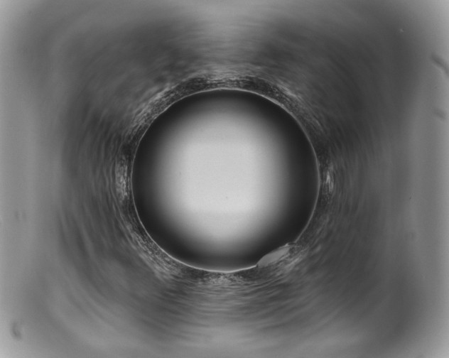 X0000099521348200805151514