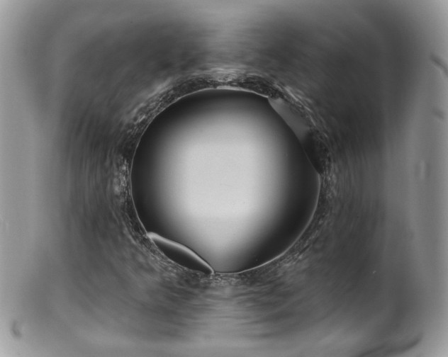 X0000099521349200805151514