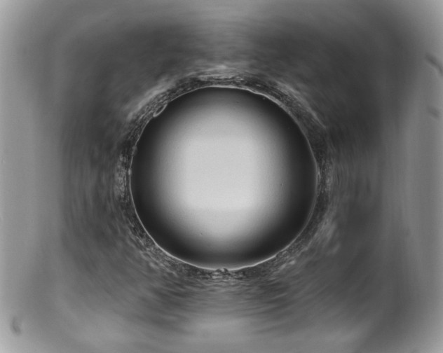 X0000099521350200805151514