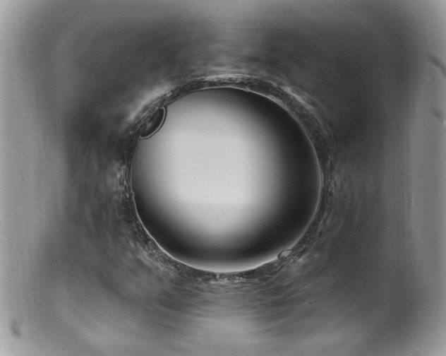 X0000099521351200805151514