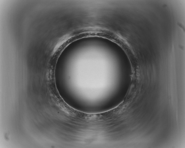 X0000099521352200805151514