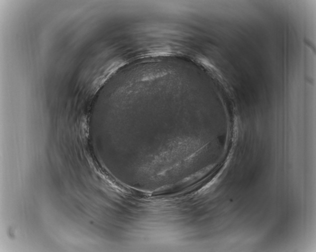 X0000099521353200805151514