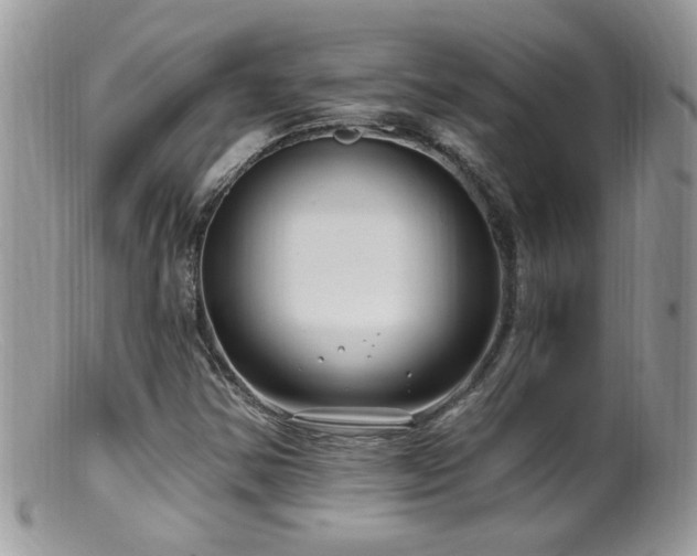 X0000099521354200805151514