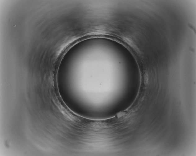X0000099521356200805151514