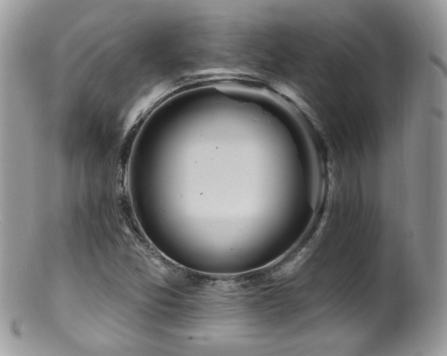 X0000099521357200805151514