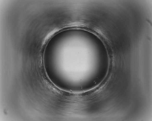 X0000099521358200805151514