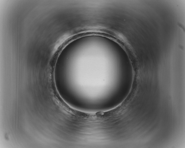 X0000099521360200805151514