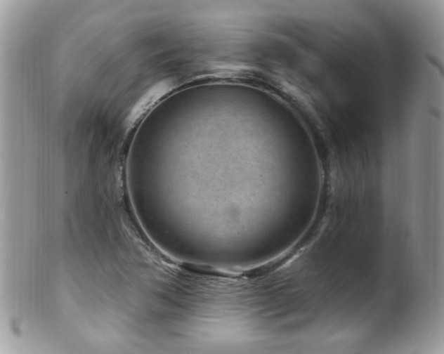 X0000099521362200805151514