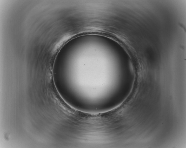 X0000099521363200805151514