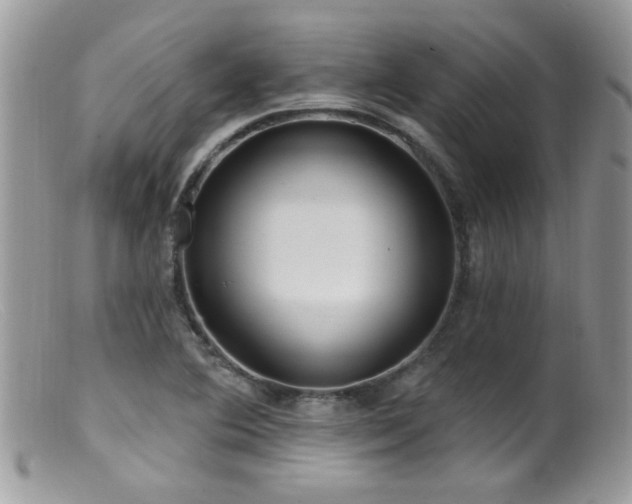 X0000099521364200805151514