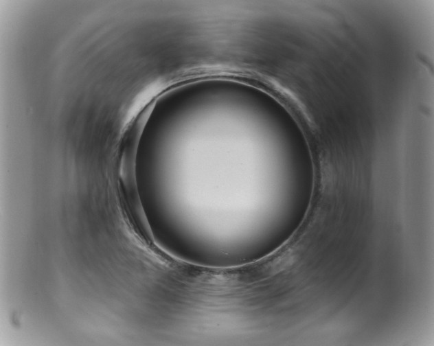 X0000099521365200805151514
