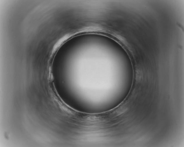 X0000099521366200805151514