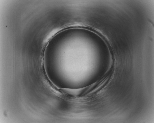X0000099521367200805151514