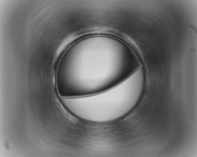 X0000099521368200805151514