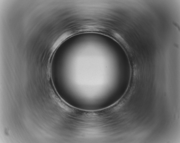 X0000099521370200805151514