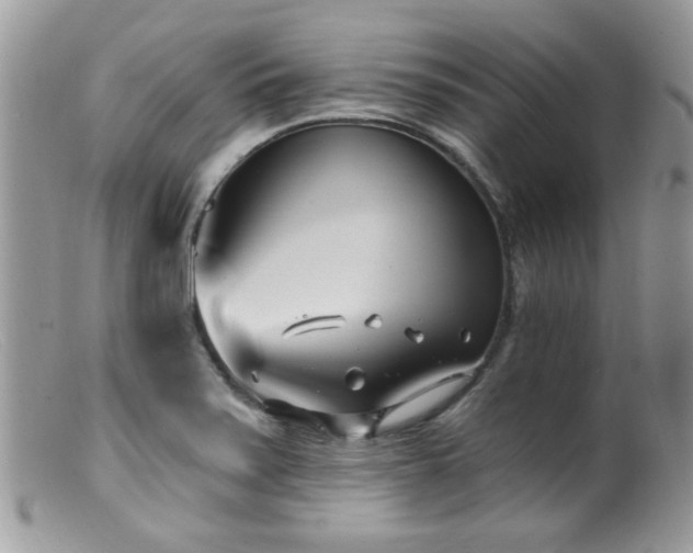 X0000099521371200805151514