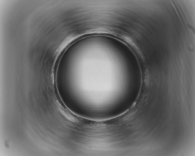 X0000099521372200805151514