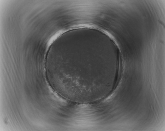 X0000099521373200805151514