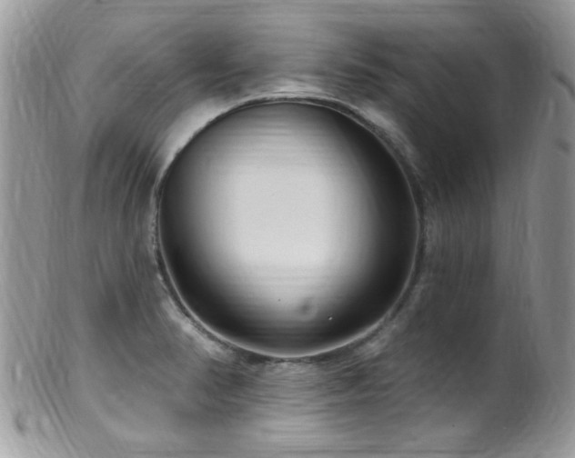 X0000099521374200805151514