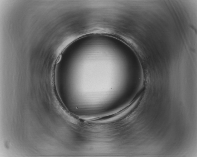X0000099521375200805151514