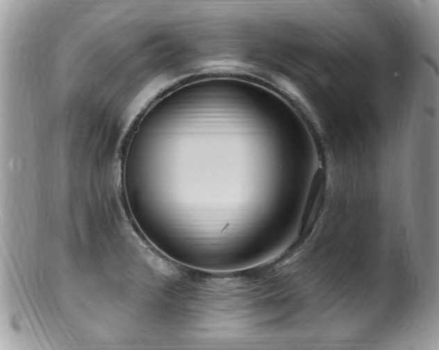 X0000099521376200805151514