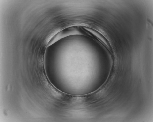 X0000099521377200805151514