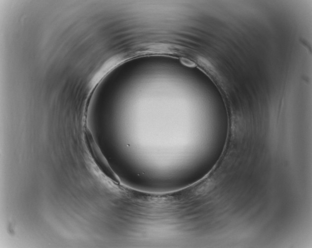X0000099521378200805151514