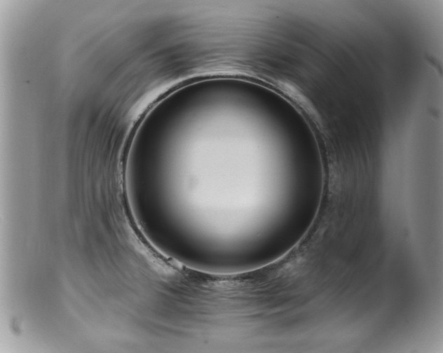 X0000099521380200805151514