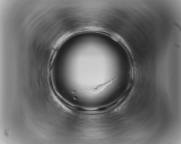 X0000099521381200805151514