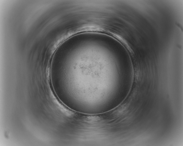 X0000099521383200805151514