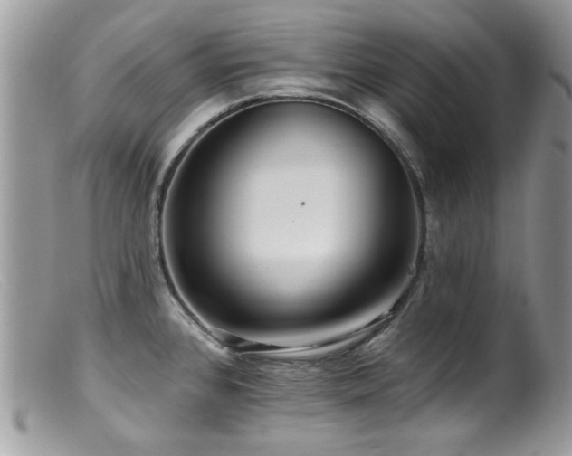 X0000099521384200805151514