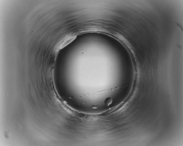 X0000099521385200805151514