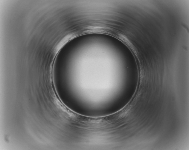 X0000099521386200805151514