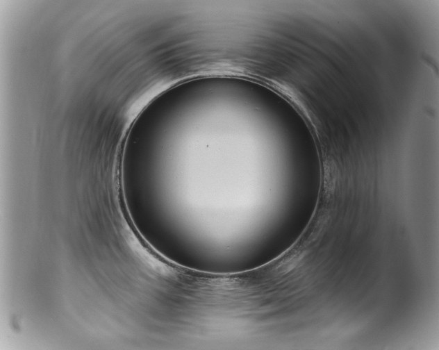 X0000099521387200805151514