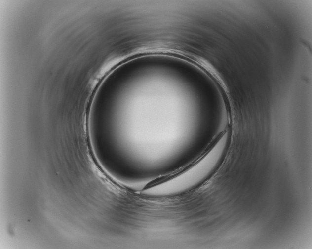 X0000099521388200805151514