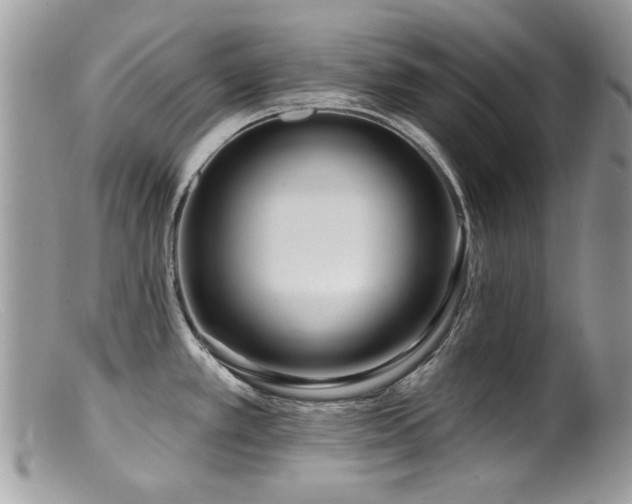 X0000099521389200805151514