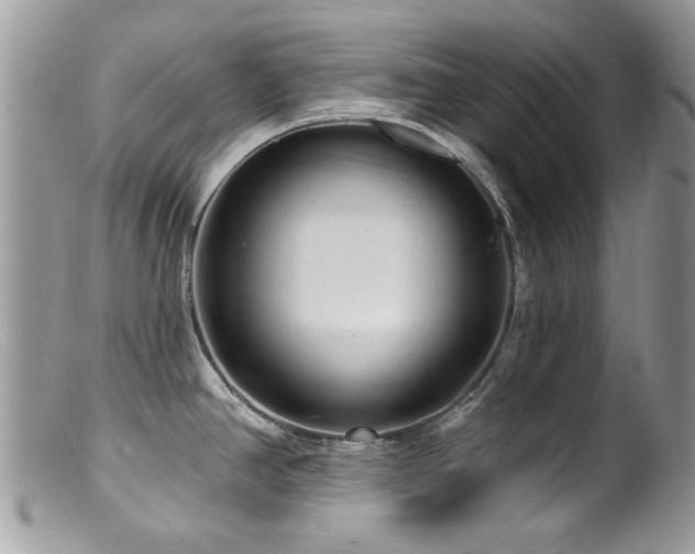 X0000099521390200805151514