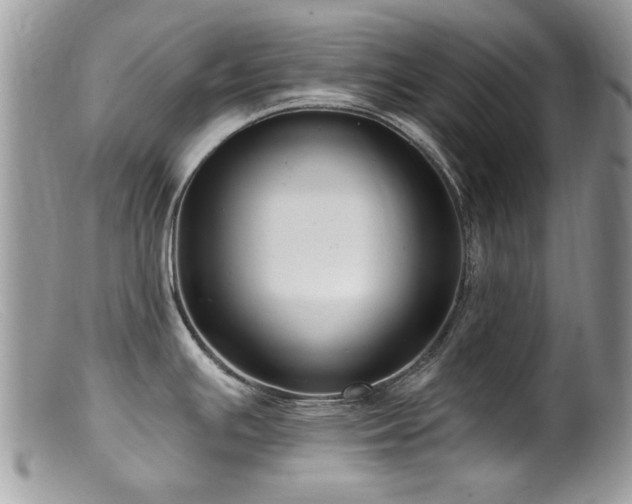 X0000099521391200805151514