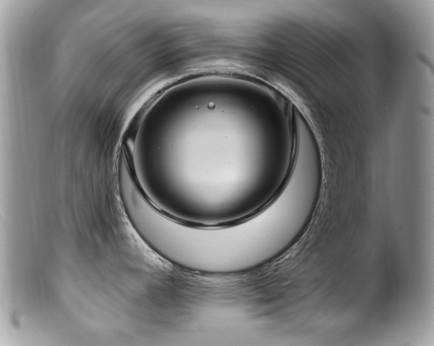 X0000099521392200805151514