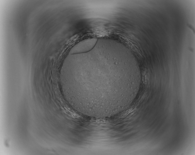 X0000099521393200805151513