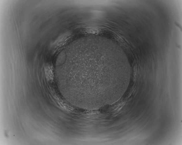 X0000099521394200805151513