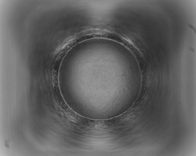 X0000099521399200805151513