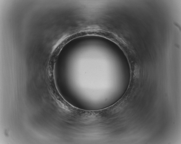 X0000099521400200805151513