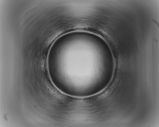 X0000099521401200805151513