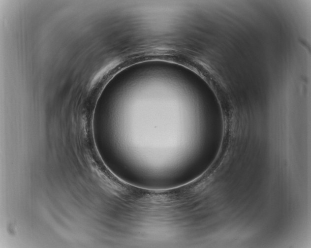 X0000099521402200805151513