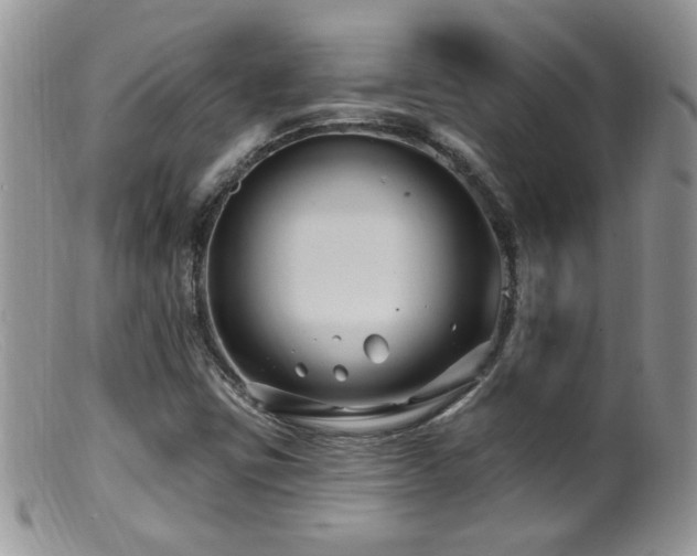 X0000099521403200805151513