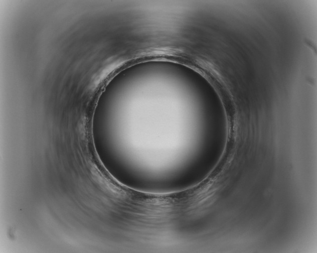X0000099521404200805151513
